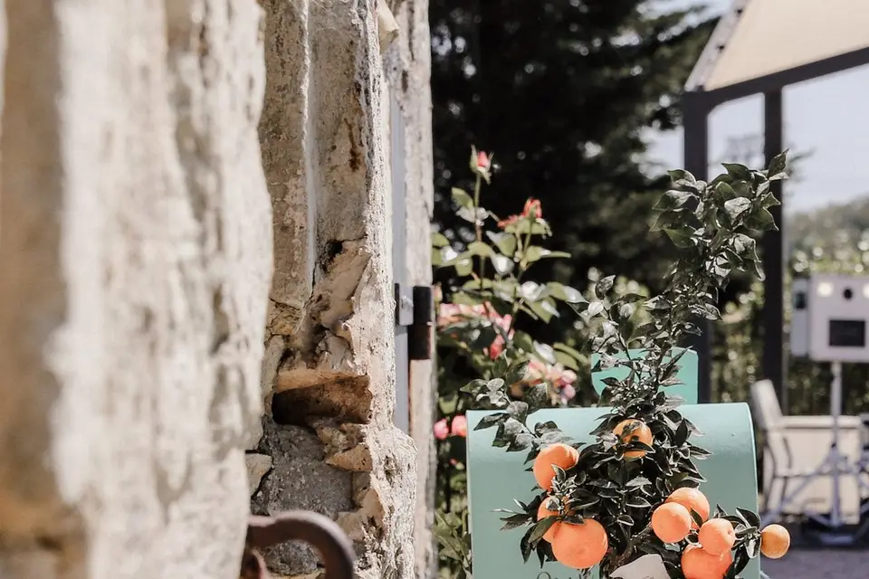 Grains de Pollen — photo 3