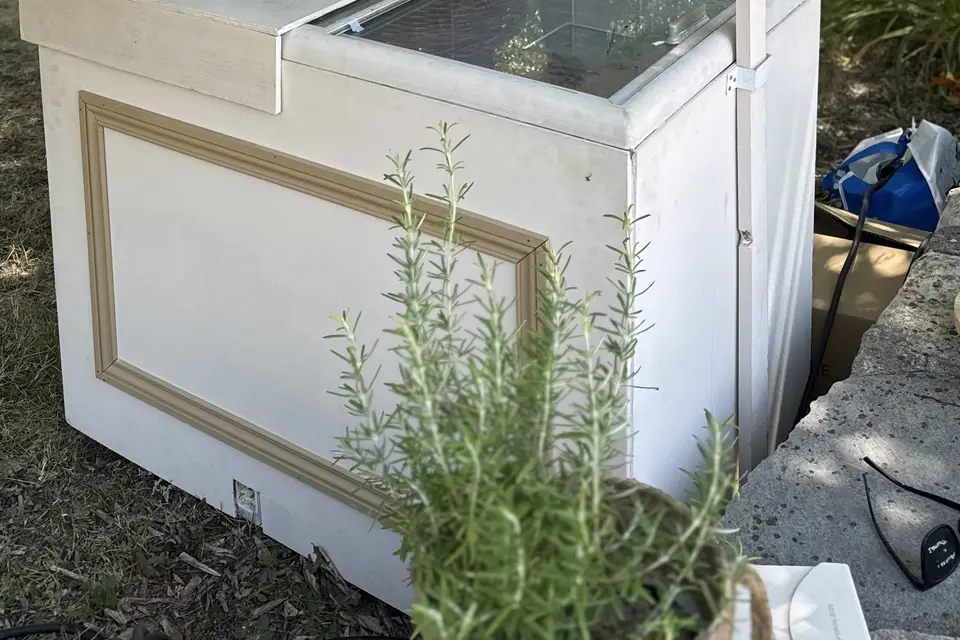 Comtralala — photo 3