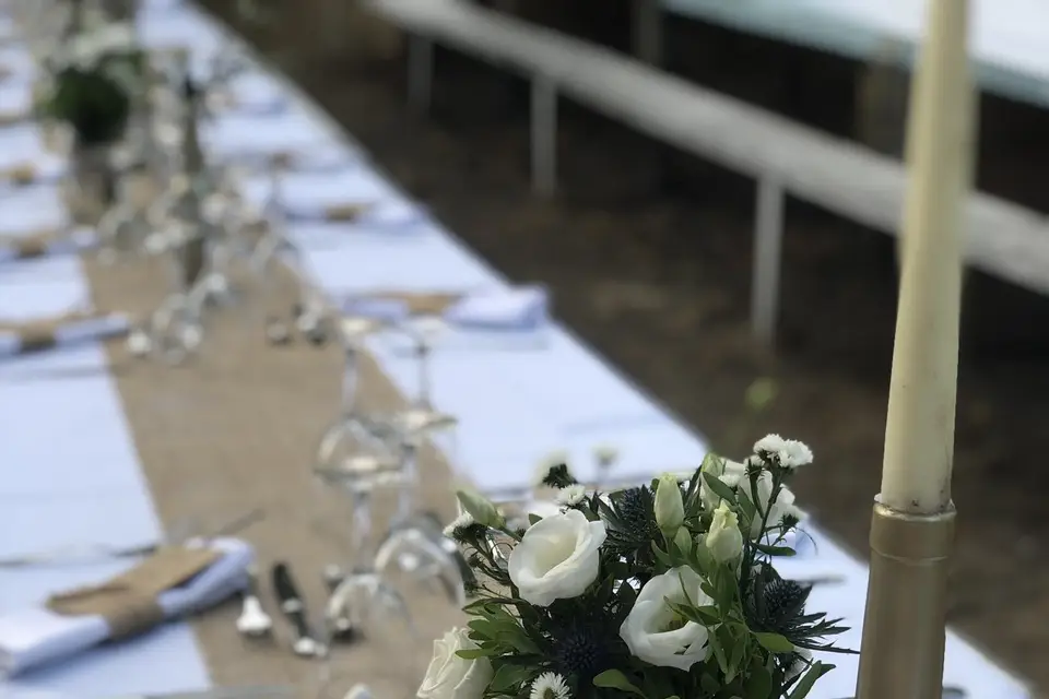 Comtralala — photo 7