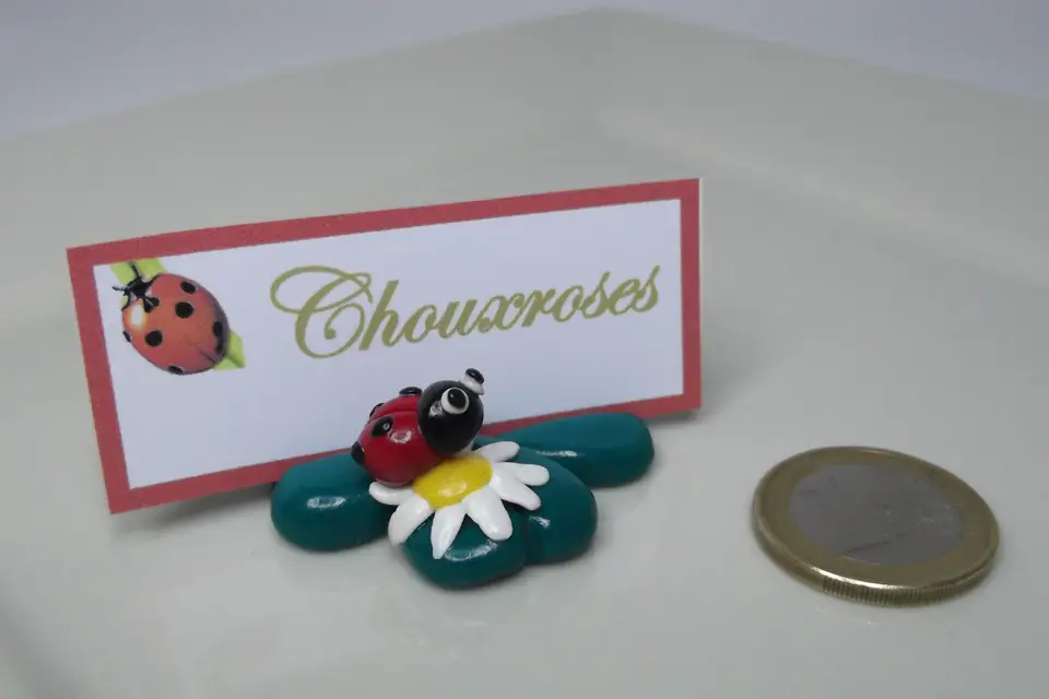 Chouxroses — photo 6