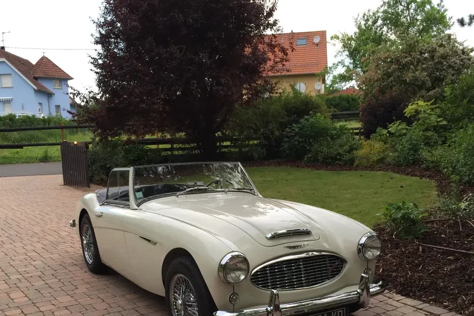 Golden Limousine France — photo 8