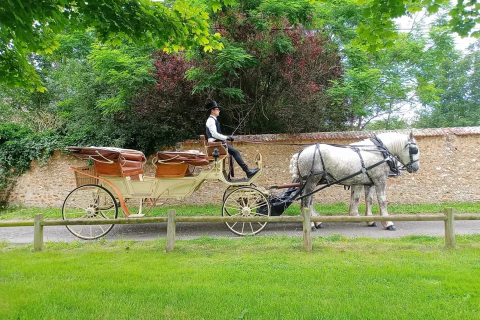 La Compagnie Nomade — photo 3