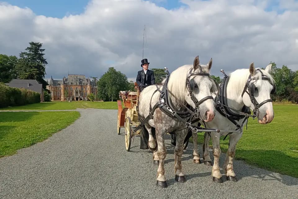 La Compagnie Nomade — photo 1