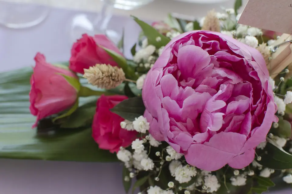 Your Loving Moments By Adeline — photo 7