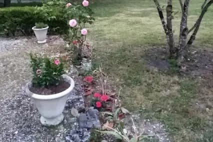 Le Domaine de Pladuc — photo 7