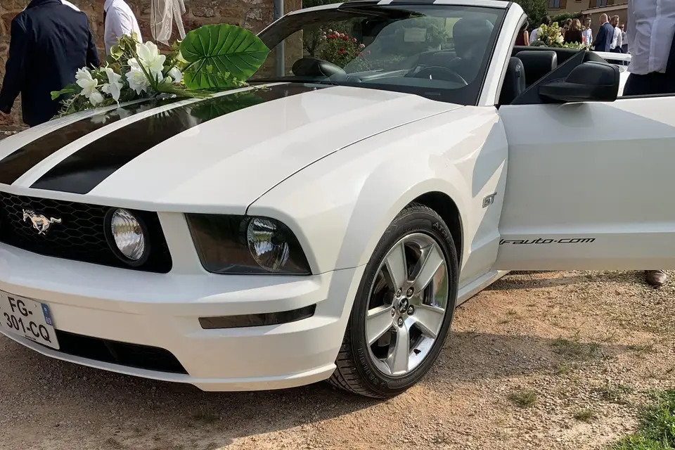 Mala Event — photo 4