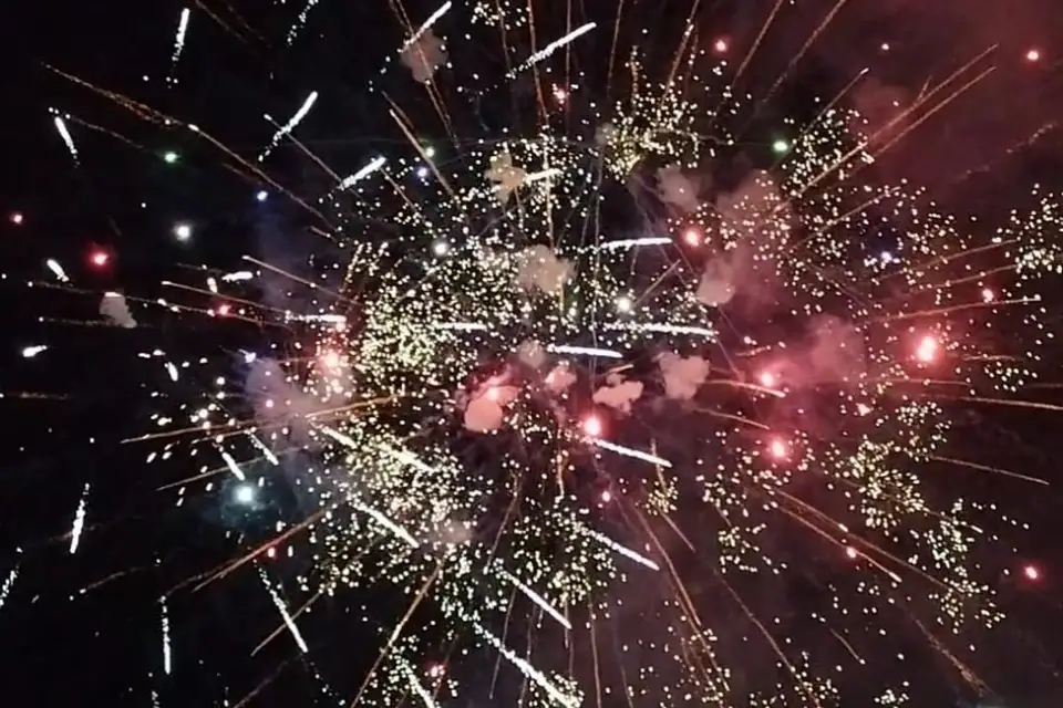 SLP Event — photo 5