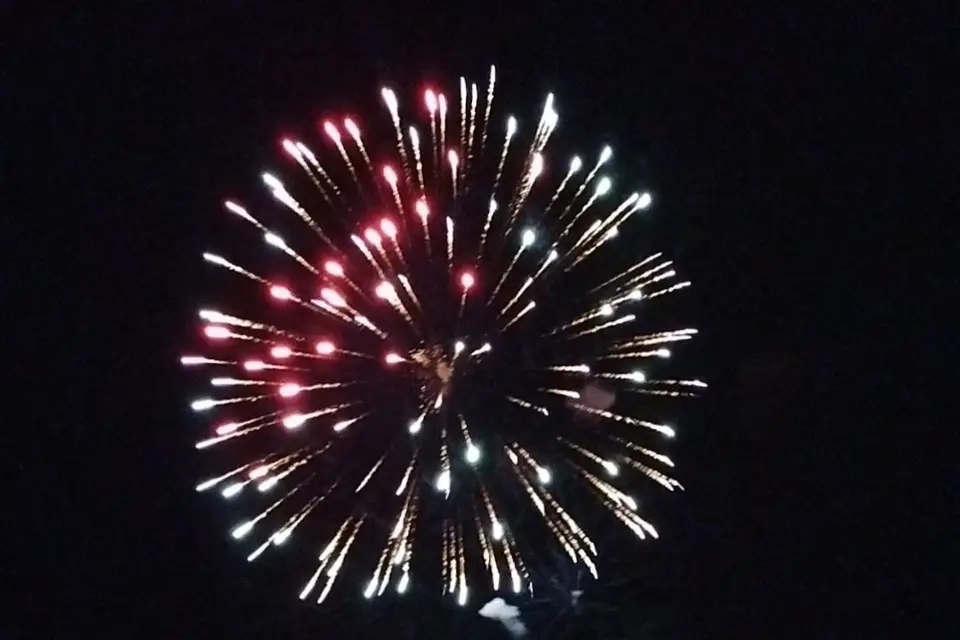 SLP Event — photo 6