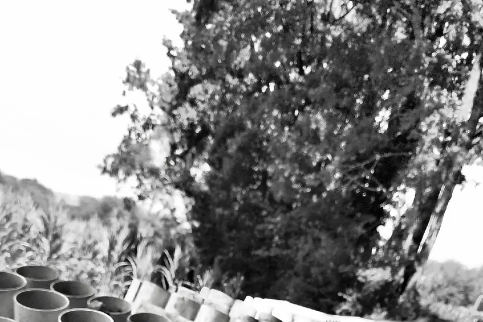 SLP Event — photo 3