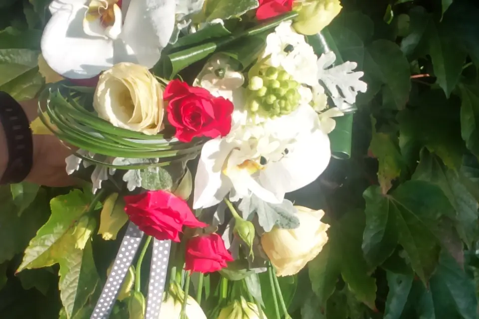 A fleur de pot — photo 1