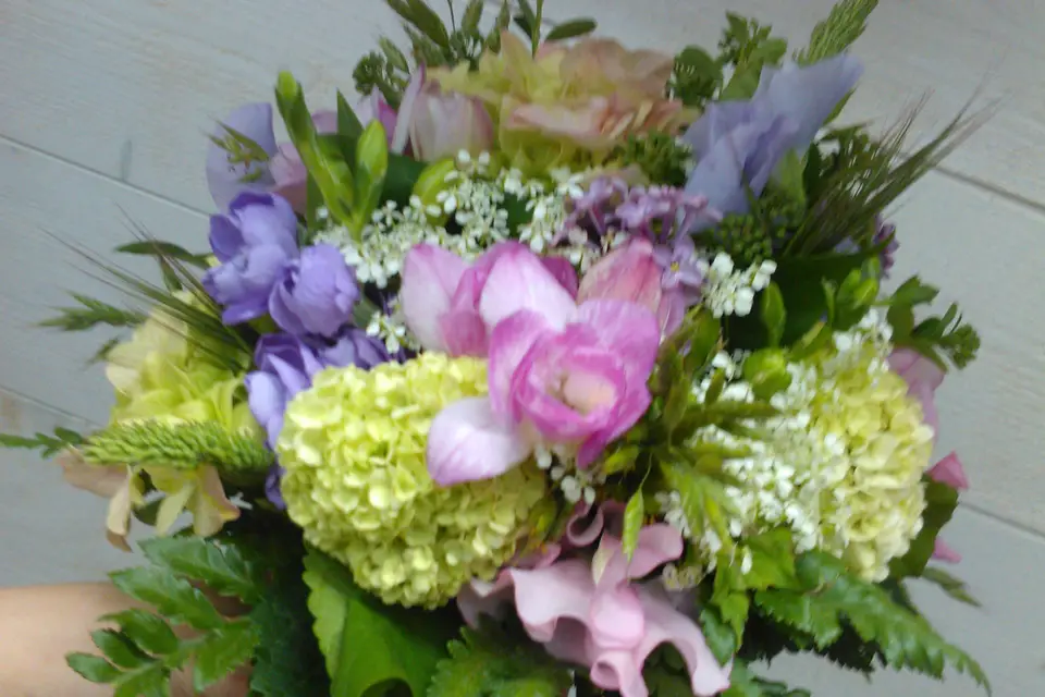 A fleur de pot — photo 5