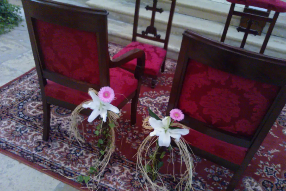 A fleur de pot — photo 4