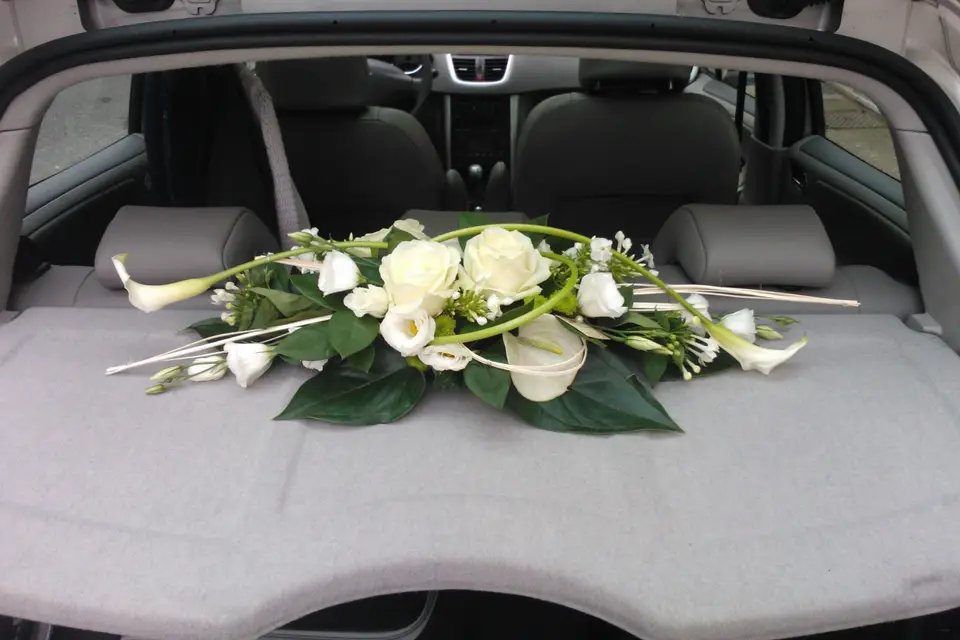 A fleur de pot — photo 2