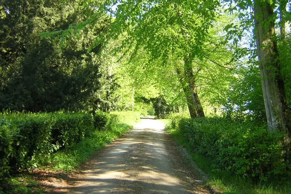 Château des Briottières — photo 8