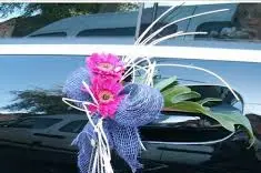 Zen Chauffeur Privé — photo 4