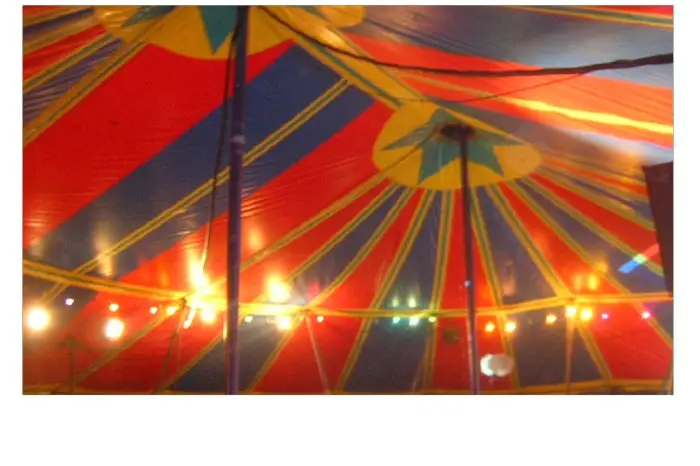 La Roulotte Stroga — photo 3