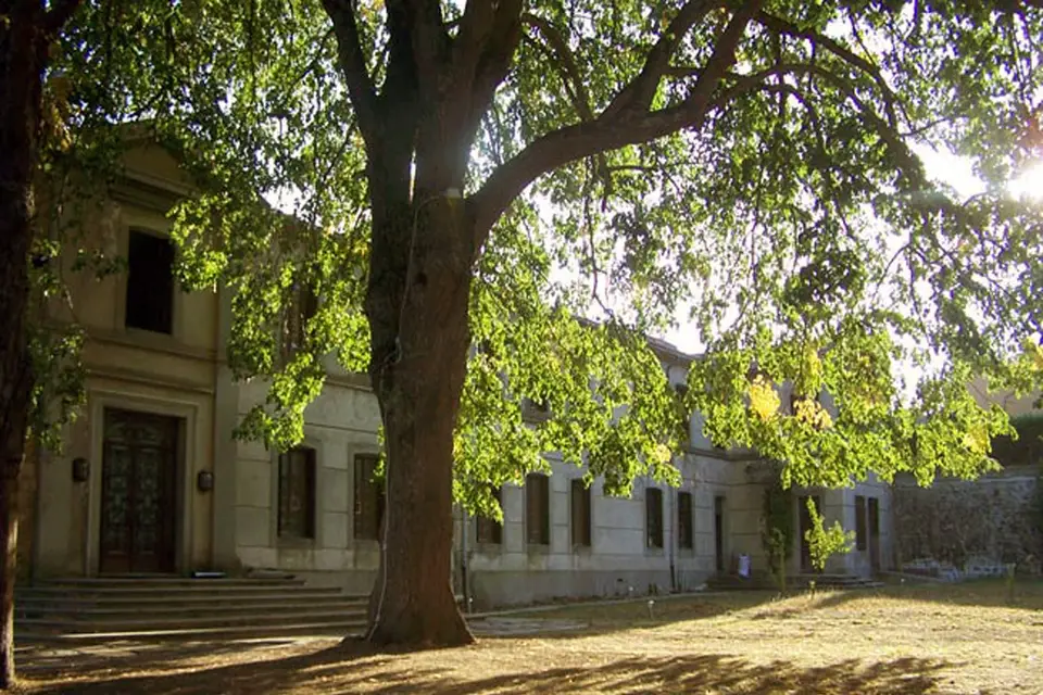 Apostrophe — photo 1