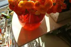 Le Tournesol Décoration — photo 3