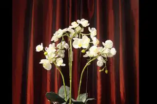 Le Tournesol Décoration — photo 2