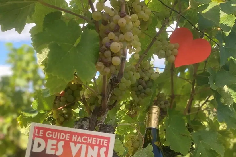 Vincent Mabille — photo 1