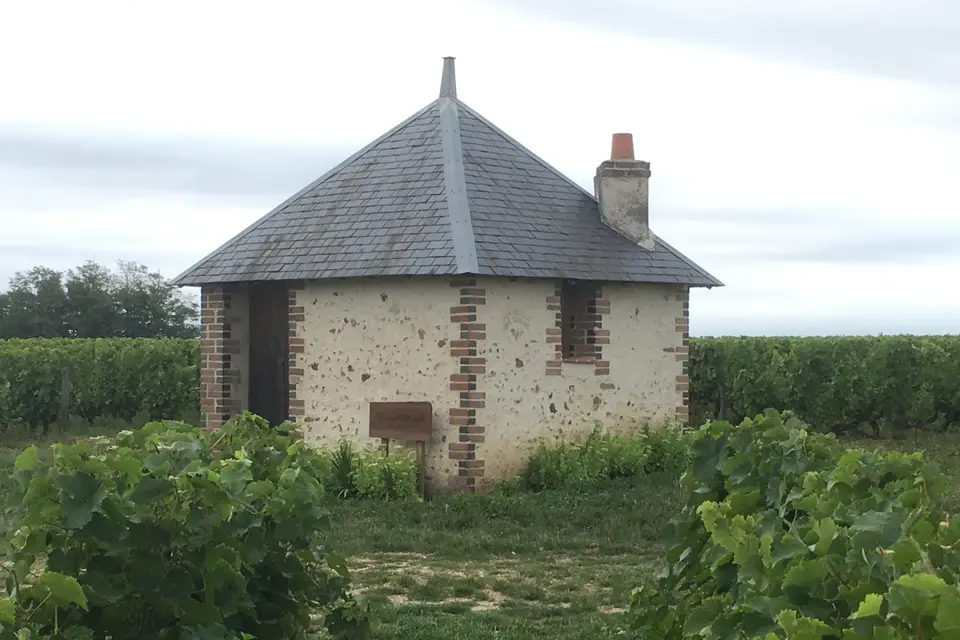 Vincent Mabille — photo 3