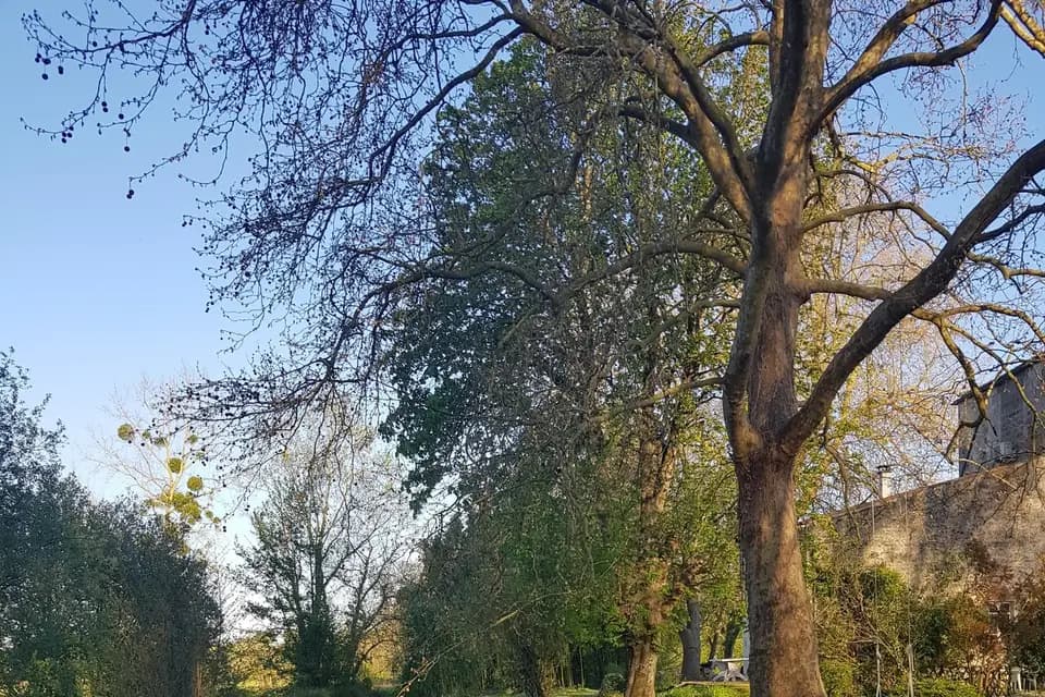 Le Moulin du Champ — photo 6