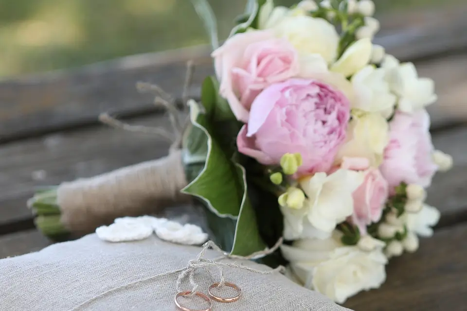 WildMaxi Photography — photo 3