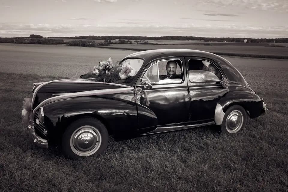 WildMaxi Photography — photo 2