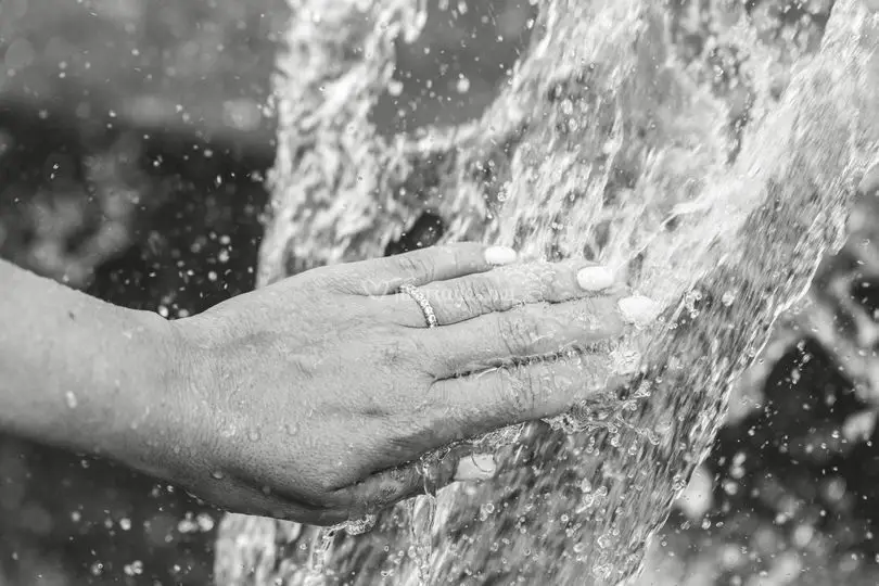 Alliances 4 Ever — photo 5