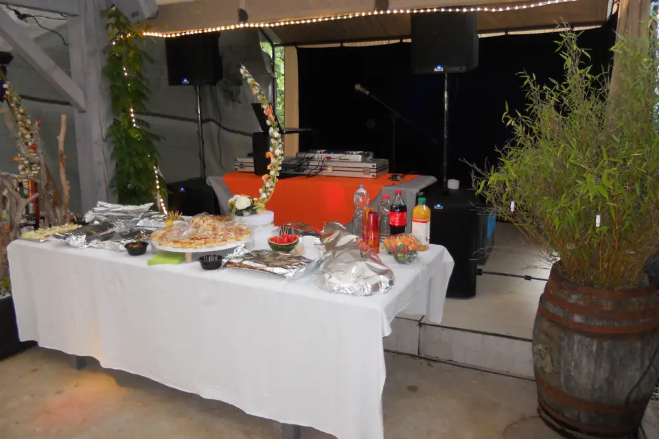 DJ Dafestouli — photo 4