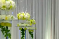 Marseille Chapiteaux — photo 3