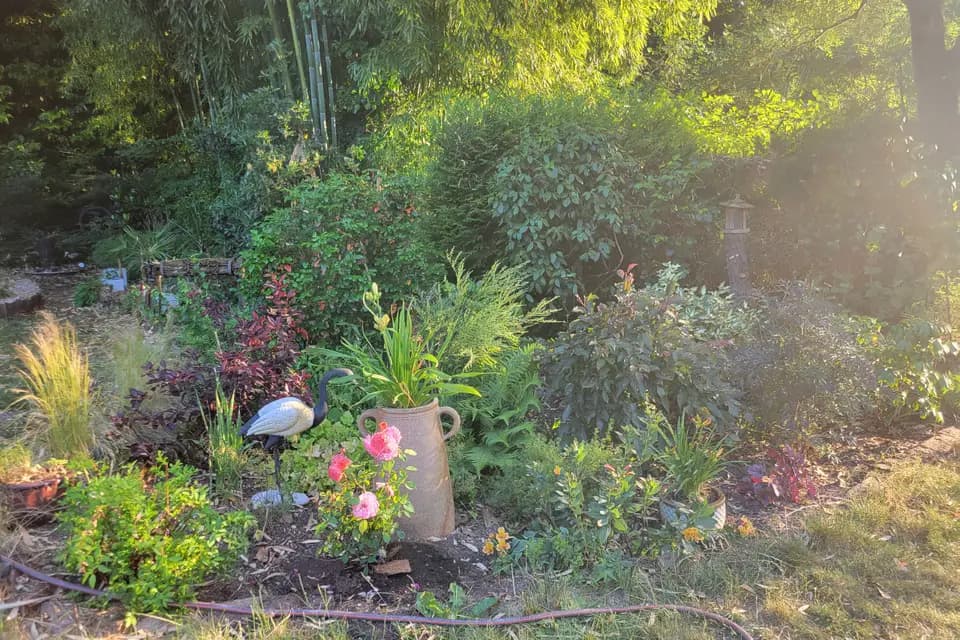 Le Moulin de la Mothe — photo 6