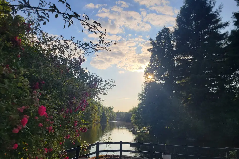 Le Moulin de la Mothe — photo 1