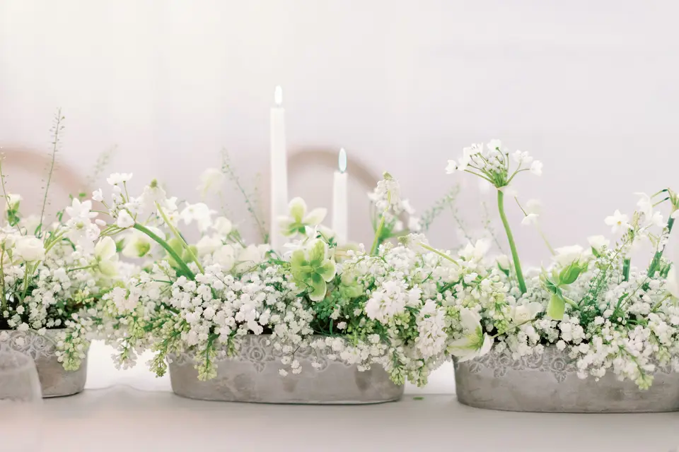 Les Fleurs Créatives — photo 4