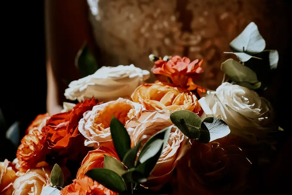 Stars Events — photo 6