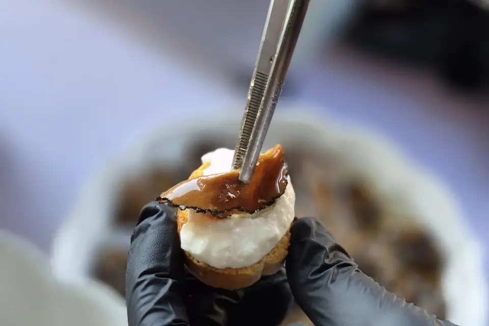 La Mélodie des Saveurs — photo 7