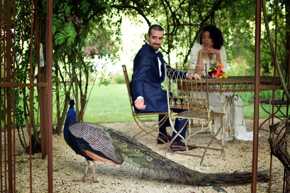 Dans ma Rue by ARno — photo 1