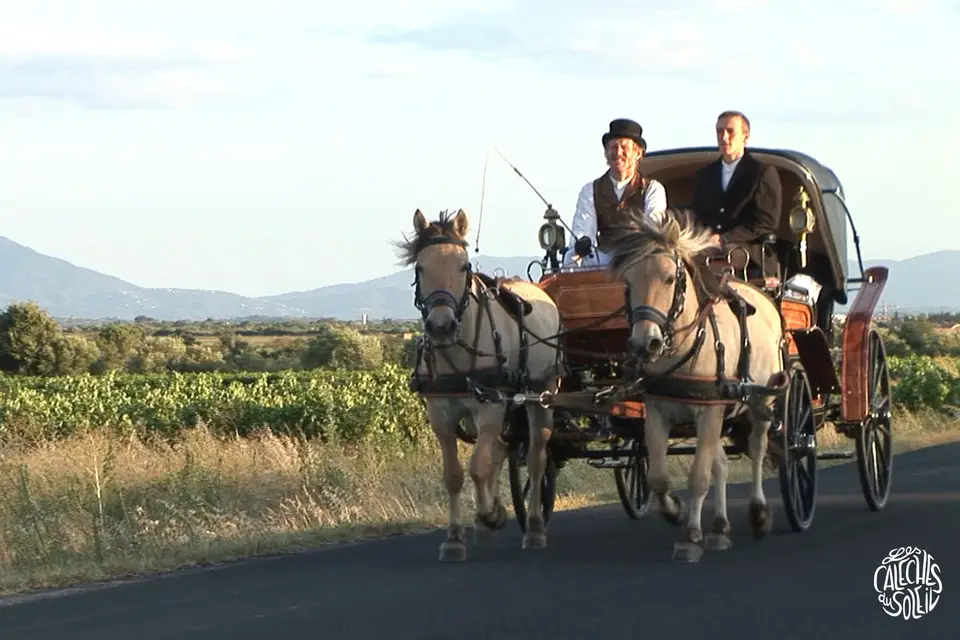 Les Calèches du Soleil — photo 2