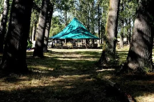 Association Hippocampe — photo 2