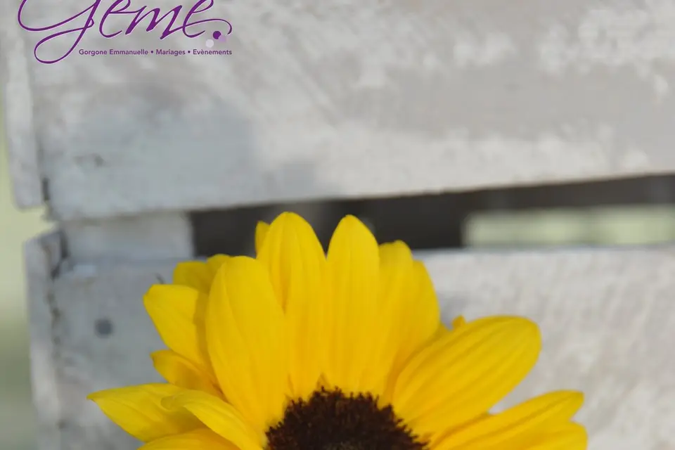 GEME Evènements — photo 6