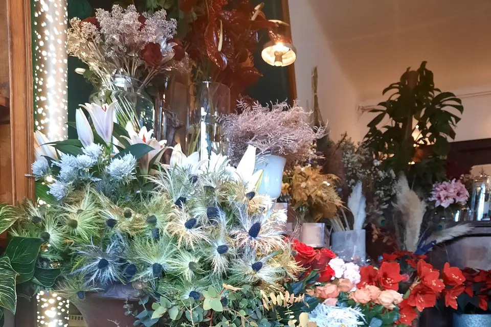 Les Lumineuses — photo 4