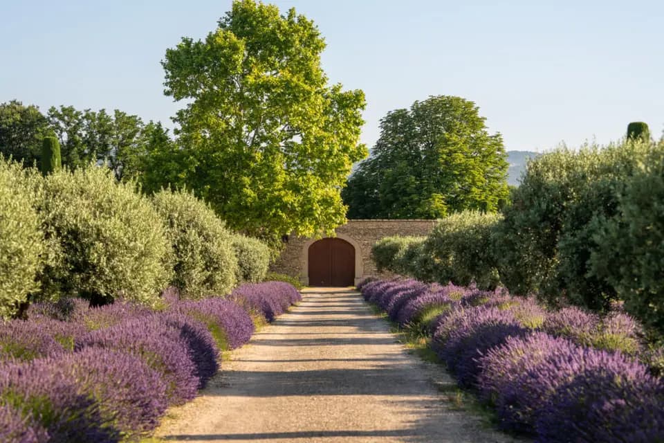 Provence Luxury International — photo 1