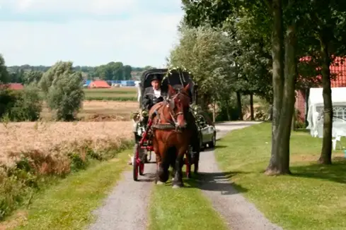 Ch'ti Attelages — photo 4