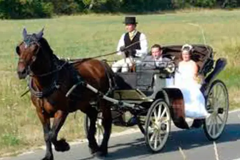 Ch'ti Attelages — photo 5