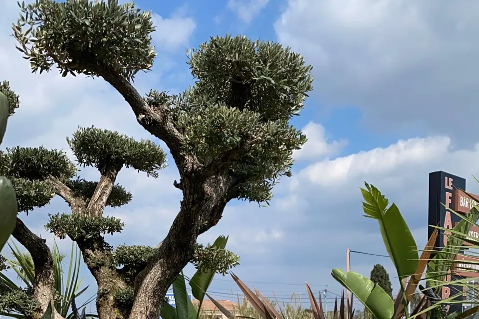 Le Factory — photo 3