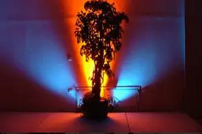 Gilles Music — photo 4