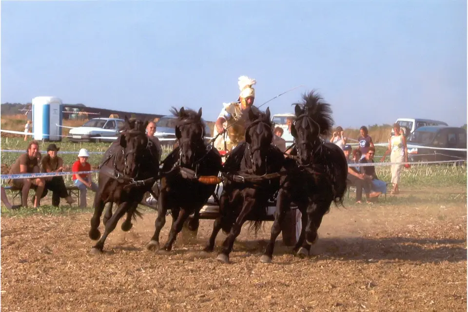 Les Attelages Linster — photo 8