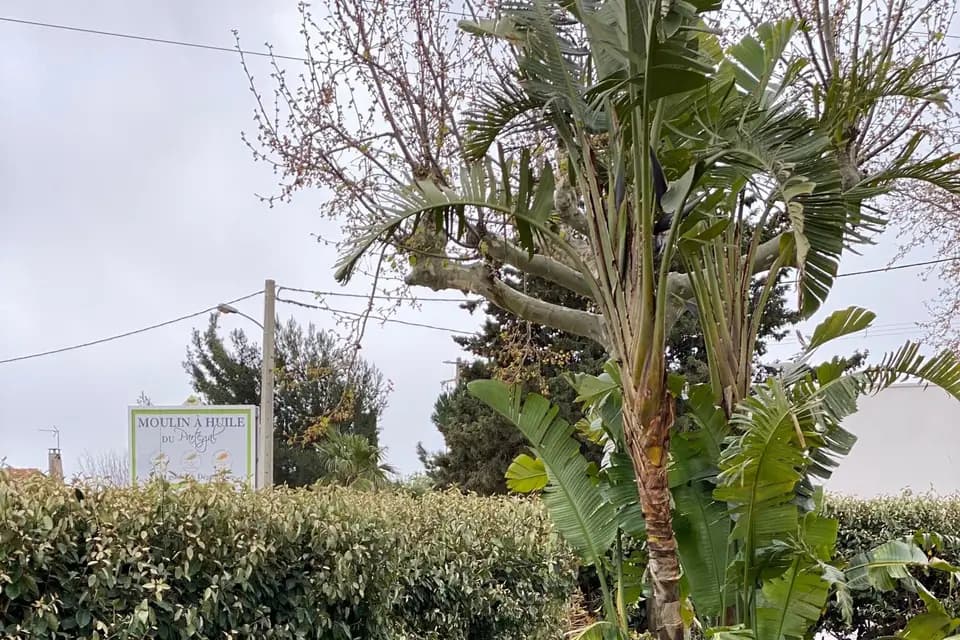 Le Factory — photo 4