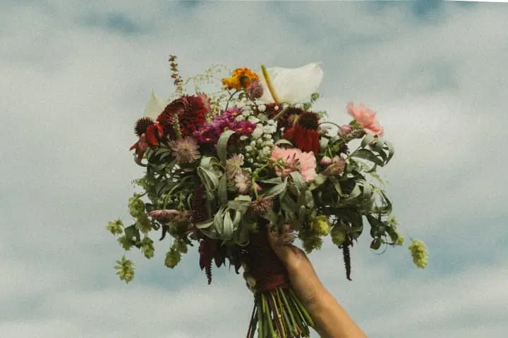 Ezélia Events — photo 5