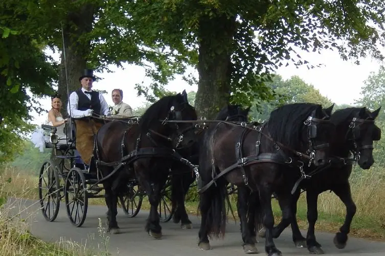Les Attelages Linster — photo 5